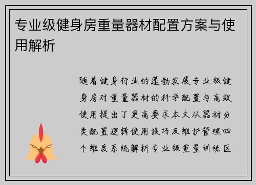 专业级健身房重量器材配置方案与使用解析