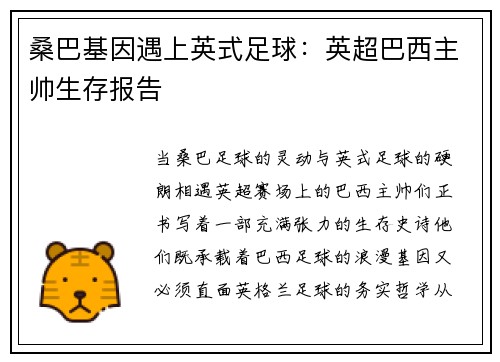 桑巴基因遇上英式足球：英超巴西主帅生存报告